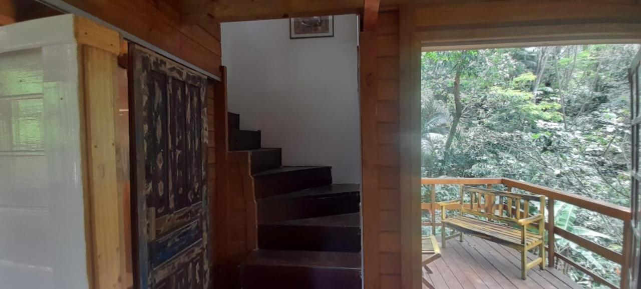 Violeta Aquarela Bombinhas Villa Kültér fotó