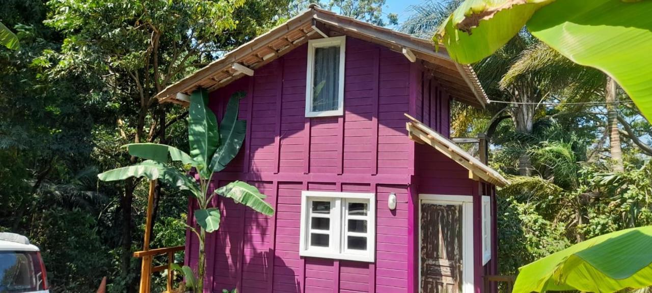 Violeta Aquarela Bombinhas Villa Kültér fotó