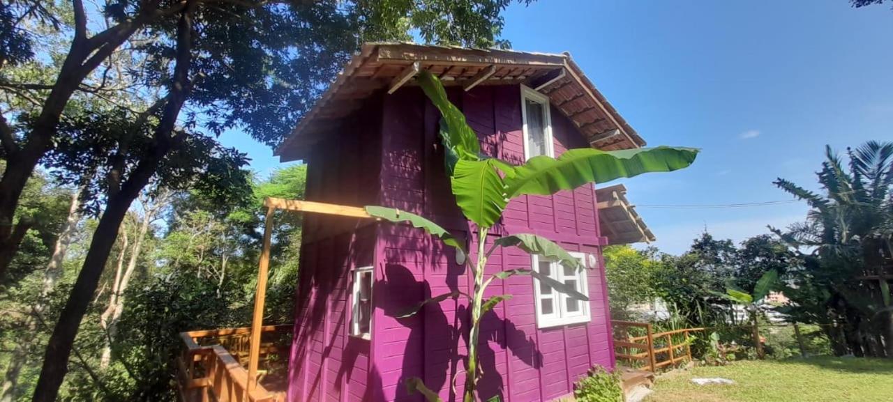 Violeta Aquarela Bombinhas Villa Kültér fotó