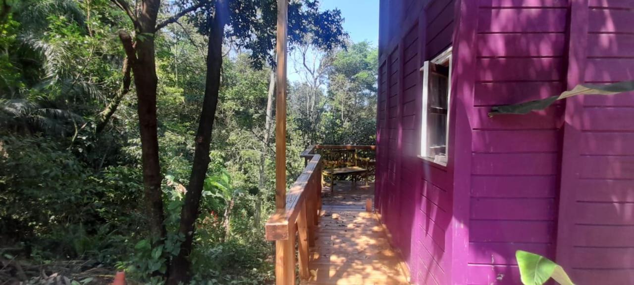 Violeta Aquarela Bombinhas Villa Kültér fotó