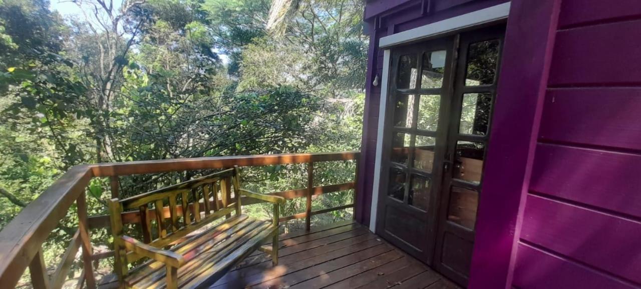 Violeta Aquarela Bombinhas Villa Kültér fotó