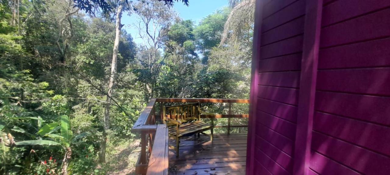 Violeta Aquarela Bombinhas Villa Kültér fotó